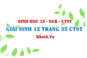 Giải Sinh 12 trang 35 Chân trời Sáng tạo